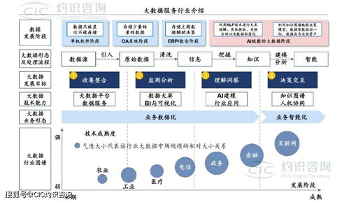 《中國(guó)商業(yè)大數(shù)據(jù)服務(wù)行業(yè)藍(lán)皮書(shū)》發(fā)布 洞見(jiàn)未來(lái)，數(shù)據(jù)賦能社會(huì)經(jīng)濟(jì)咨詢新篇章