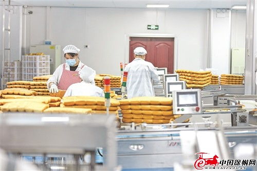 鑫億迪食品加工項目 以產業融合帶動蔬菜規?；N植與食品生產升級